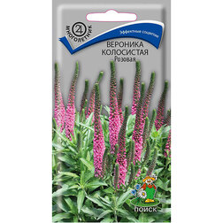 ����  �������� ���������� �������, ������ �� 50 ���