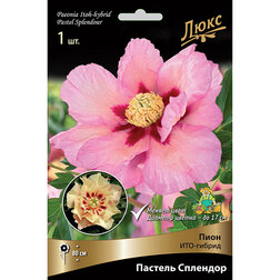 ����  ����� ���-������ ������� �������� * (2-3 �����), ������ �� 2635 ���