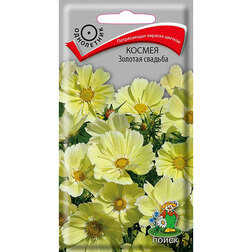 ����  ������ ������� �������, ������ �� 134 ���