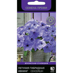 ����  ������� ��������� ������ ��������, ������ �� 253 ���