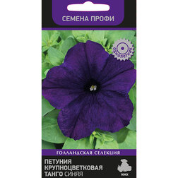 ����  ������� ��������������� ����� ����� (������ �����), ������ �� 50 ���