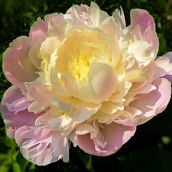 ����  ���� ����������� ������, ������ �� 714 ���