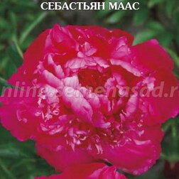 ����  ���� ����������� ��������� ����, ������ �� 629 ���