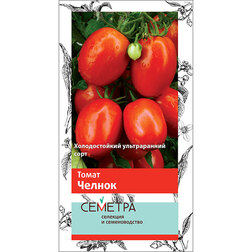 ����  ����� ������ (�������), ������ �� 17 ���