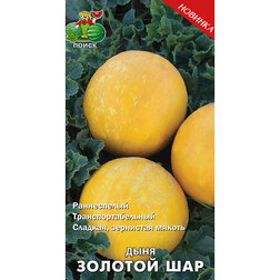 ����  ���� ������� ���, ������ �� 29 ���