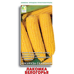 ����  �������� �������� ������� ���������, ������ �� 32 ���