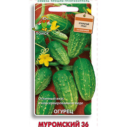 ����  ������ ��������� 36, ������ �� 29 ���