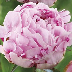 ����  ���� ����������� ������, ������ �� 714 ���