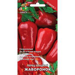 ����  ����� ������� ���������, ������ �� 29 ���