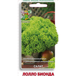 ����  ����� ����� ������, ������ �� 31 ���