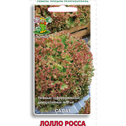 ����  ����� ����� �����, ������ �� 33 ���