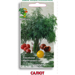 ����  ����� �����, ������ �� 25 ���