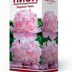 ����  ���� ����������� ������ ����, ������ �� 1079 ���