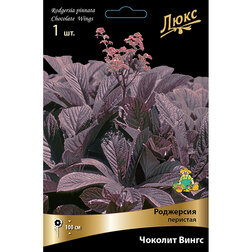 ����  ��������� �������� ������� �����, ������ �� 901 ���