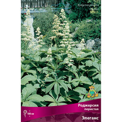 ����  ��������� �������� �������, ������ �� 504 ���