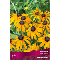 ����  �������� ��������� ����������, ������ �� 348 ���