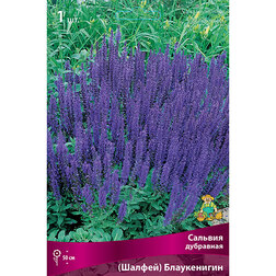 ����  ������� ��������� (������) �����������, ������ �� 455 ���