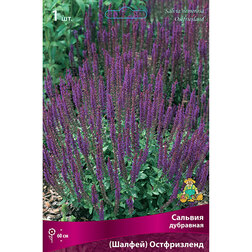 ����  ������� ��������� (������) �����������, ������ �� 455 ���