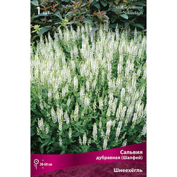 ����  ������� ��������� (������) ���������, ������ �� 455 ���