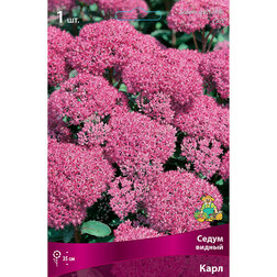 ����  ����� ������ ����, ������ �� 408 ���