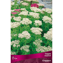 ����  ����� ������ ��������, ������ �� 506 ���