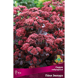 ����  ����� ��������� ϸ�� ������, ������ �� 518 ���