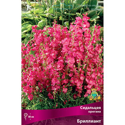 ����  ��������� ������� ���������, ������ �� 379 ���