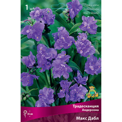 ����  ������������ ��������� ���� ����, ������ �� 462 ���