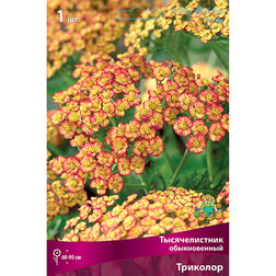 ����  ������������� ������������ ��������, ������ �� 314 ���