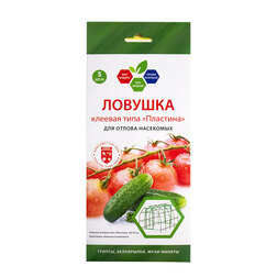 ����  *������� ������� �� ����.�����.(��.5 ��.) (25�10 ��) (���� ������л), ������ �� 289 ���