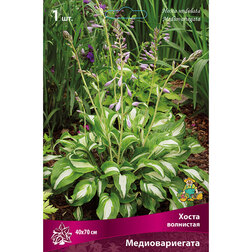 ����  ����� ��������� ��������������, ������ �� 263 ���