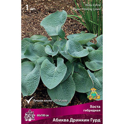 ����  ����� ��������� ������ ������� ����, ������ �� 292 ���