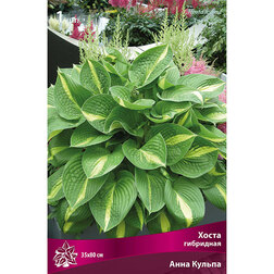 ����  ����� ��������� ���� ������, ������ �� 501 ���