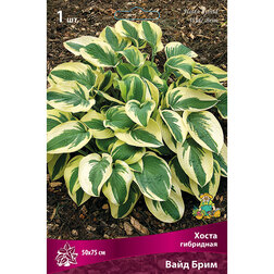 ����  ����� ��������� ���� ����, ������ �� 292 ���