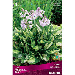 ����  ����� ��������� �������, ������ �� 413 ���