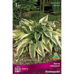 ����  ����� ��������� ���������, ������ �� 292 ���