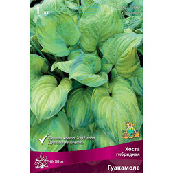 ����  ����� ��������� ���������, ������ �� 263 ���