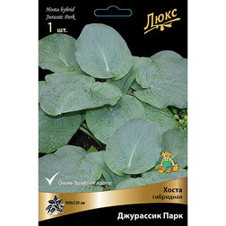 ����  ����� ��������� ��������� ����, ������ �� 501 ���