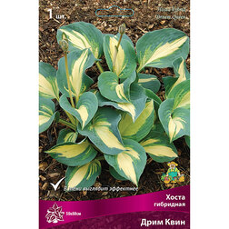 ����  ����� ��������� ���� ����, ������ �� 501 ���