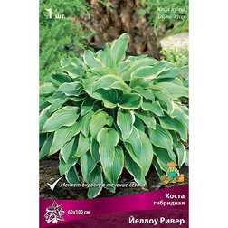 ����  ����� ��������� ������ �����, ������ �� 336 ���