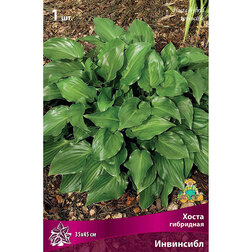 ����  ����� ��������� ���������, ������ �� 292 ���