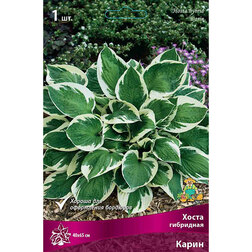 ����  ����� ��������� �����, ������ �� 382 ���