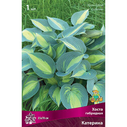 ����  ����� ��������� ��������, ������ �� 402 ���