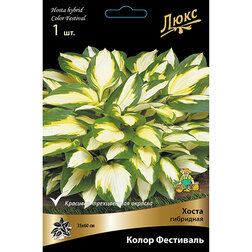 ����  ����� ��������� ����� ���������, ������ �� 402 ���