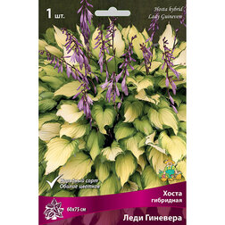 ����  ����� ��������� ���� ��������, ������ �� 357 ���