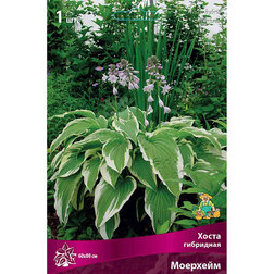 ����  ����� ��������� ��������, ������ �� 292 ���