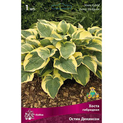 ����  ����� ��������� ����� ��������, ������ �� 319 ���