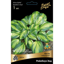 ����  ����� ��������� �������� ���, ������ �� 634 ���