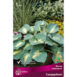 ����  ����� ��������� ����������, ������ �� 501 ���