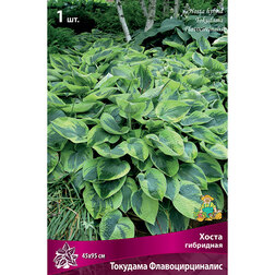 ����  ����� ��������� �������� ���������������, ������ �� 292 ���